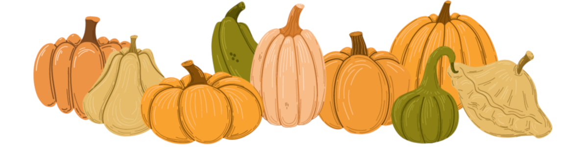 guirlande citrouilles