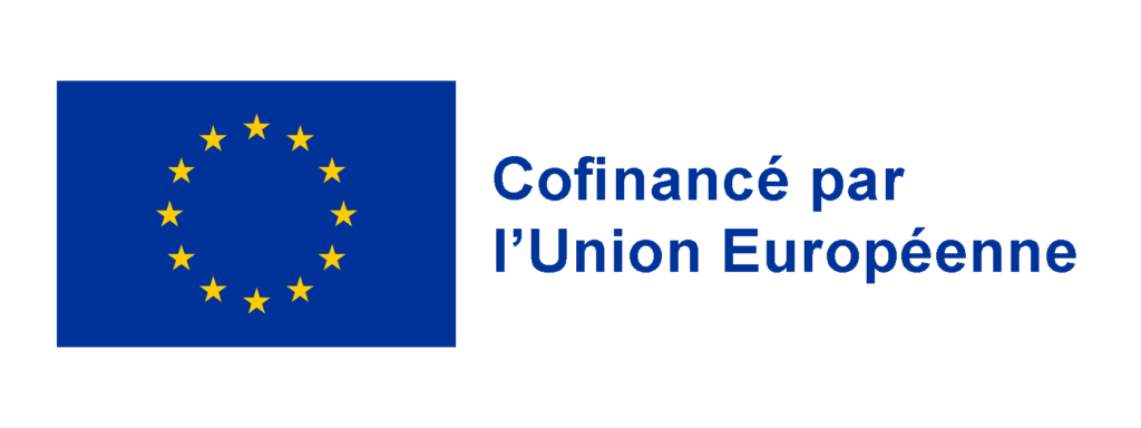 logo FSE